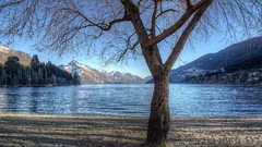 Landscapes nature Mountains lakes lone tree