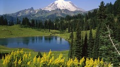 Landscapes nature Mountains national park Mount Rainier 