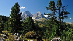 Landscapes nature Mountains peaks pine trees Alpine highterrain