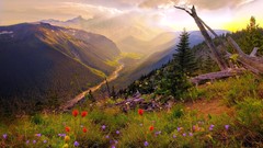 Landscapes nature Mountains tree trunks Wildflowers valleys