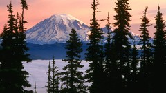 Landscapes nature Mountains Washington Mount Rainier