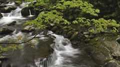 Landscapes nature national park Tennessee great smoky mountains
