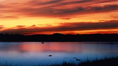 Landscapes nature old lakes tranquility