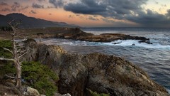 Landscapes nature point California cove