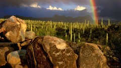 Landscapes nature rainbows cactus