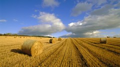 Landscapes nature Scotland hay highlands fields agriculture 