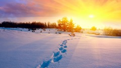 Landscapes nature snow footsteps