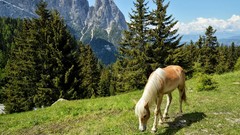 Landscapes nature snow Mountains panorama Alps Italy italia 