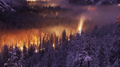Landscapes nature snow Mountains Yosemite National Park mist 