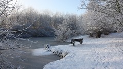 Landscapes nature snow winter branches ice bench hoarfrost