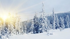 Landscapes nature snow winter Mountains sun rays snowy trees