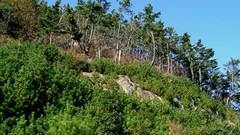 Landscapes nature south korea