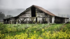 Landscapes nature spring abandoned House huts farms natural 