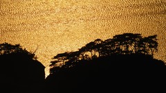 Landscapes nature star trails Silhoutte