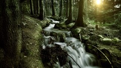 Landscapes nature streams landmark forests