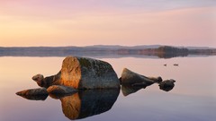 Landscapes nature sweden geese lakes