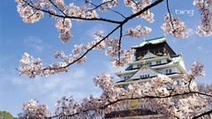 Landscapes nature temple oriental cherry blossoms spring flowers