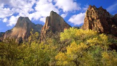 Landscapes nature three Utah Zion National Park national park