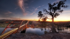 Landscapes nature Trees Austin