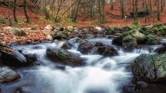 Landscapes nature Trees autumn rocks rivers forests shack