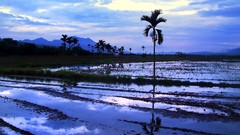 Landscapes nature Trees blue clouds Taiwan inverted reflections 