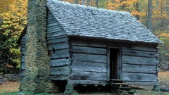 Landscapes nature Trees cabin