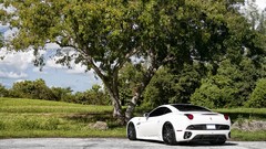 Landscapes nature Trees cars