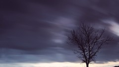 Landscapes nature Trees clouds skies skyscapes lone tree