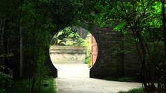 Landscapes nature Trees grass