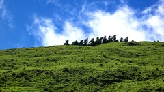 Landscapes nature Trees grass clouds hills skies hillside 