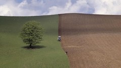 Landscapes nature Trees grass country clouds crops fields 