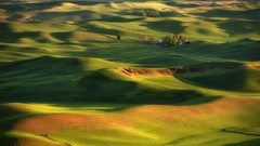 Landscapes nature Trees grass hills Green farm Washington 