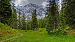 Landscapes nature Trees grass snow winter Mountains clouds 