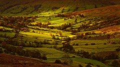 Landscapes nature Trees grass sun Yorkshire valleys