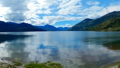 Landscapes nature Trees grass water clouds hills white Green 