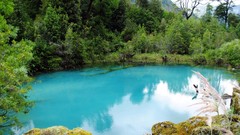 Landscapes nature Trees Green Plants lagoon grove Turquoise 