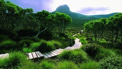 Landscapes nature Trees hills Green forests tasmania