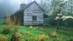 Landscapes nature Trees houses