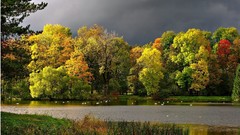 Landscapes nature Trees lakes forests Dark Clouds