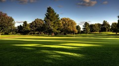 Landscapes nature Trees lawn golf