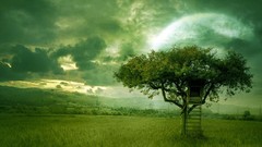 Landscapes nature Trees moon