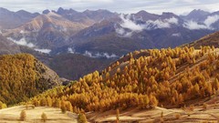 Landscapes nature Trees Mountains autumn France Alps forests 