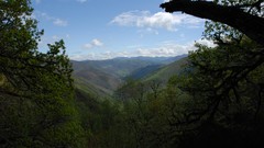 Landscapes nature Trees Mountains Green Spain forests asturias 