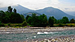 Landscapes nature Trees Mountains Torrent rivers