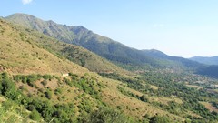 Landscapes nature Trees Mountains Turkey forests Izmir towns ege