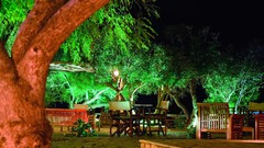 Landscapes nature Trees night Green Furniture Garden restaurant 