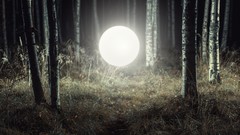 Landscapes nature Trees night moon light forests orb 