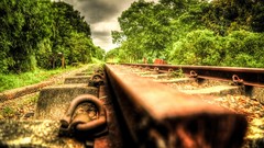 Landscapes nature Trees Railways railroad tracks HDR 