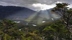 Landscapes nature Trees snow gray water Mountains clouds Green 