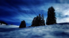 Landscapes nature Trees snow winter clouds dark sunlight Swiss 
